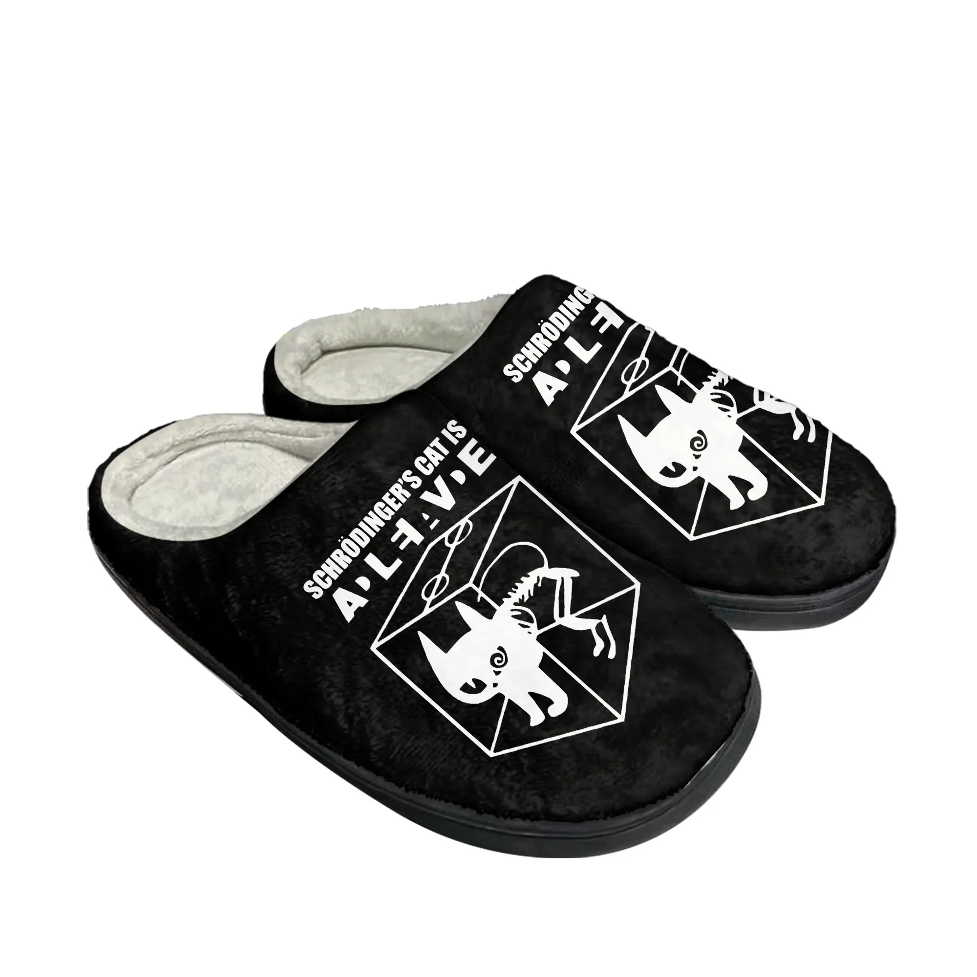 The Big TBBT Schrodinger's Cat - Men Shoes For Winter review and price